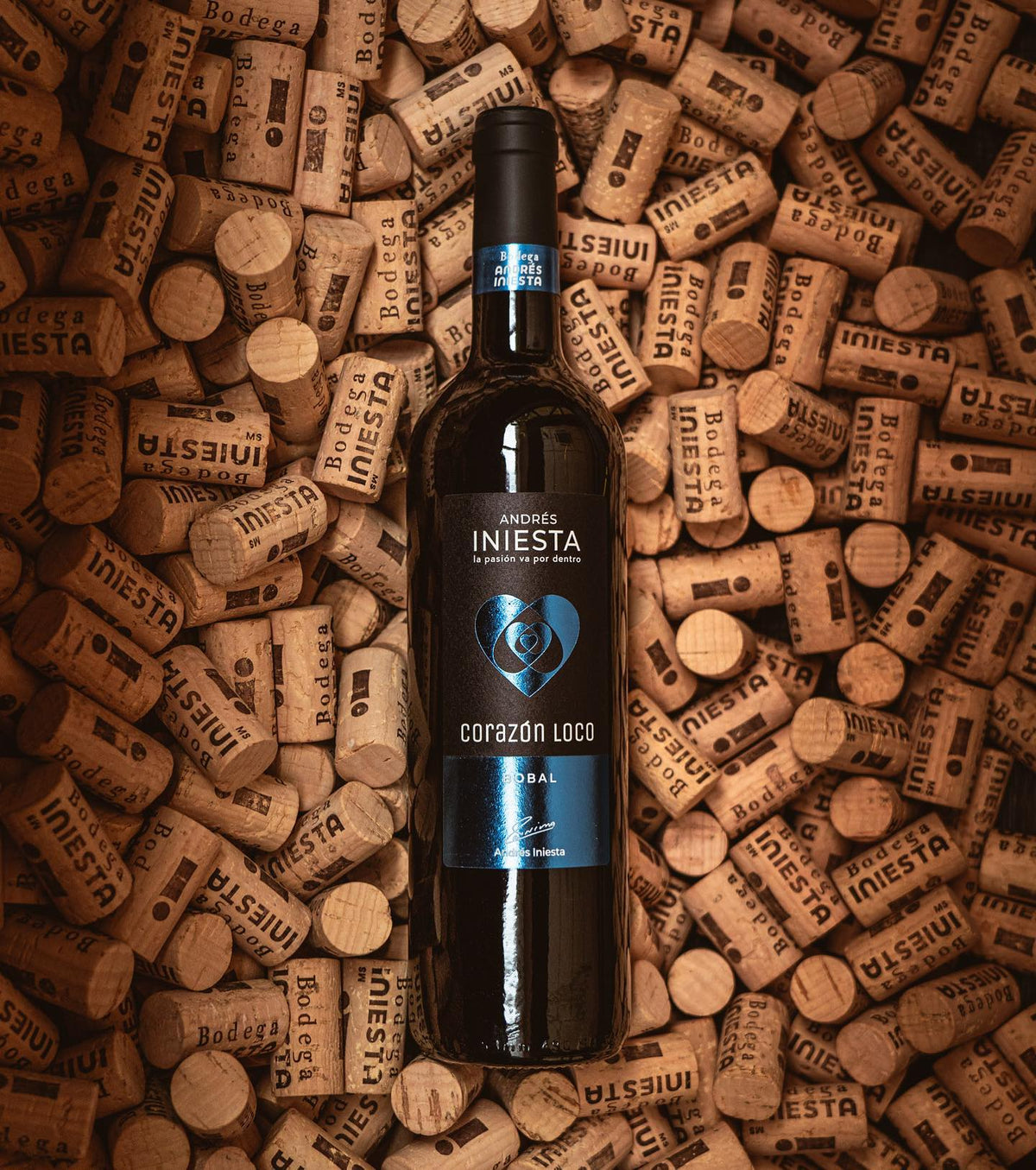 Vinos Tintos